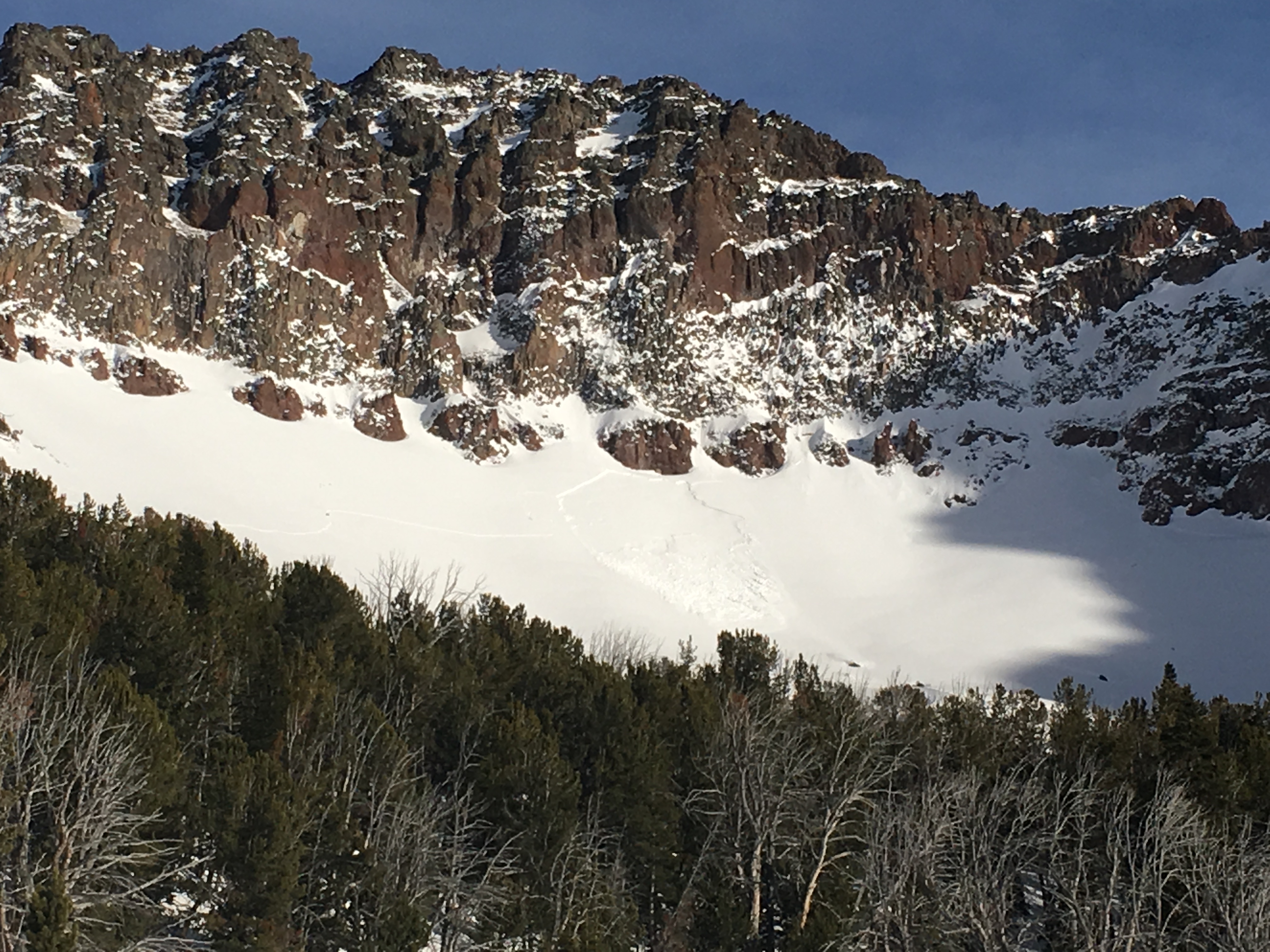 Goat triggered avalanche in Hyalite