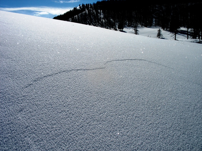 Cracking on Electric Peak