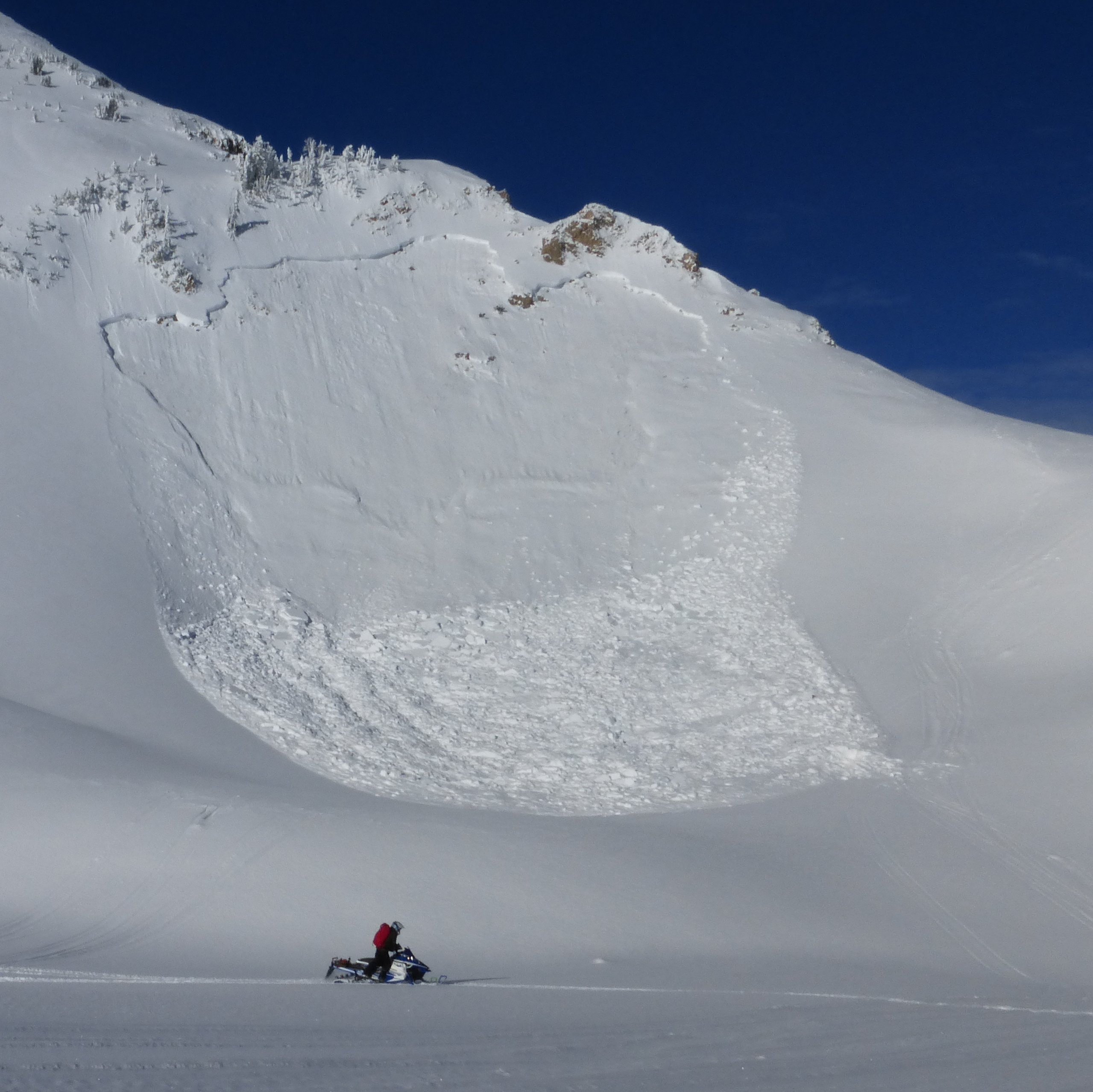 Tepee Basin Avalanche 