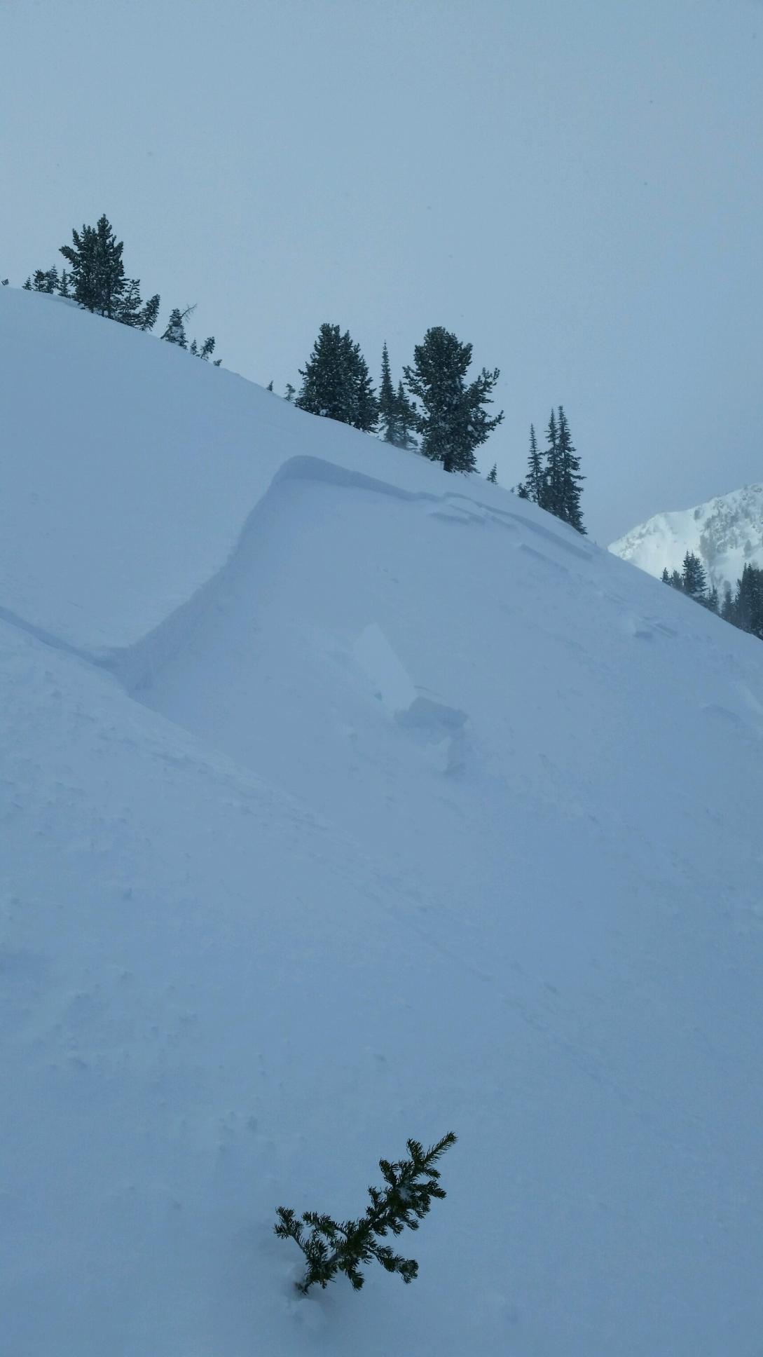 Human triggered slide Cooke City