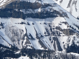 Cedar Mountain Avalanches