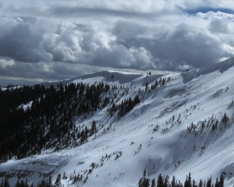 Natural Avalanche Lionhead