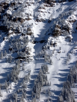 Small Natural Avalanche - Northern Gallatin Range 