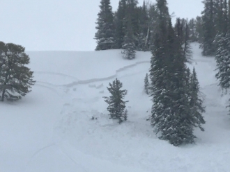 Avalanche near Sunlight Basin