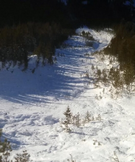 Woody Ridge After Avalanche